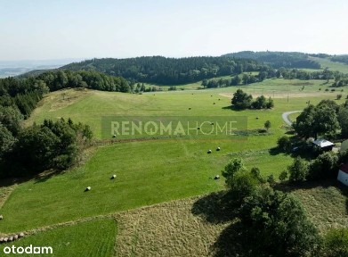 Domek drewniany/ blisko lasu/ ogrody/Karkonosze