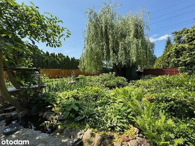 ul. Świt, Ołtaszyn, Krzyki, Wrocław, dolnośląskie