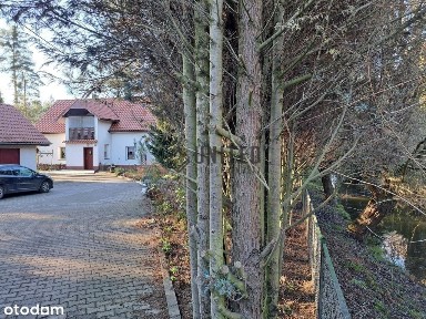 Dom wolnostojący Nowy Dwór k/Jelcza przy lesie.