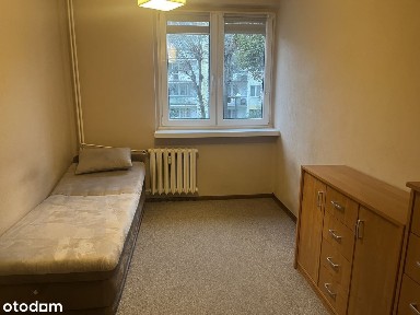 ul. Armii Krajowej, Retkinia, Polesie, Łódź, łódzkie