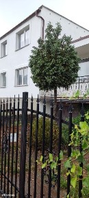 Dom police 256 m 6 pokoi