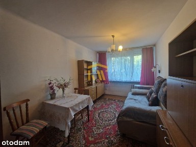 ul. Natolińska, Zamłynie, Radom, mazowieckie