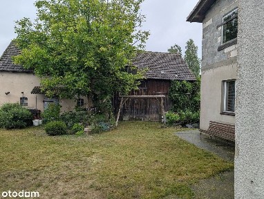 Duży dom wolnostojący w Borach Tucholskich