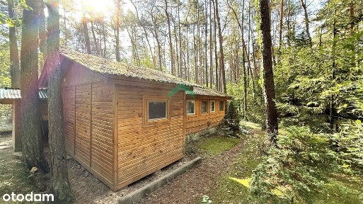 Domek letniskowy na leśnej działce - Zawady