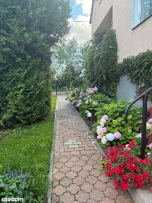 Dom na Mazurach Zachodnich - cisza i natura w Janikach Wielkich