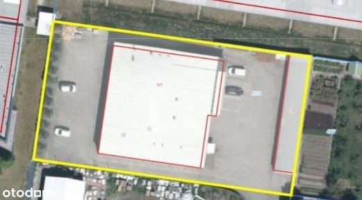 Brzezie, Pleszew, pleszewski, wielkopolskie