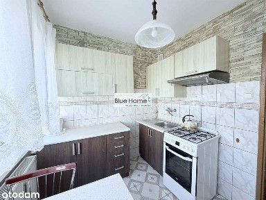 3 pokoje, osobna kuchnia, wolne od zaraz, Gagarina