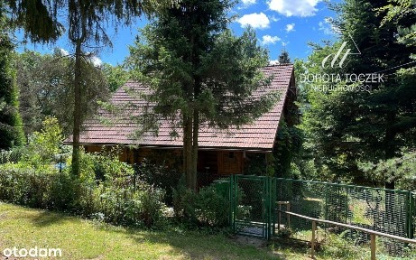 REZERWACJA | Sobolów, gm. Łapanów | Drewniany dom | 1400 m² działki