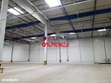 Piotrków Trybunalski, łódzkie