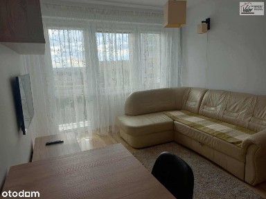 Kormoran, Olsztyn, warmińsko-mazurskie