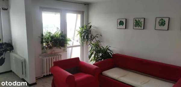 ul. Marcina Radockiego, Piotrowice-Ochojec, Katowice, śląskie