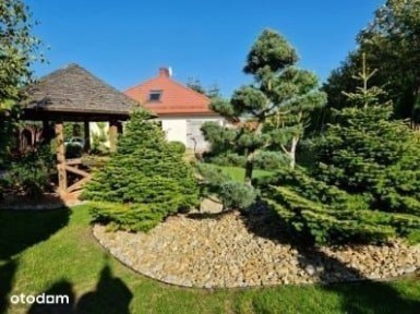 Siemianice, Słupsk, słupski, pomorskie