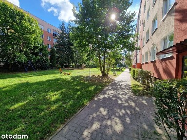 3-pokojowe mieszkanie w centrum z balkonem - ul. Królowej Jadwigi