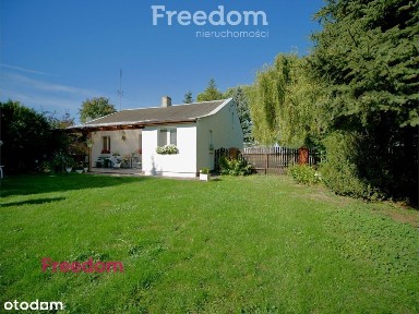 Zadbane siedlisko przy granicy Gostynina