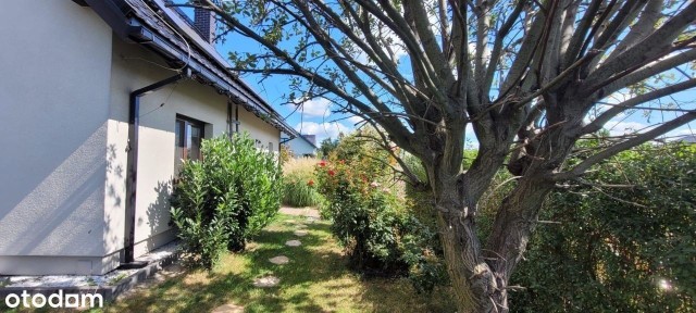 Komfortowy dom w spokojnej okolicy, świetny dojazd do Rybnika i Gliwic