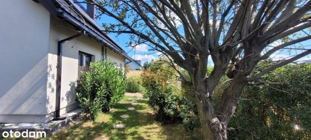 Wilcza, Pilchowice, gliwicki, śląskie