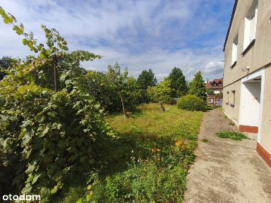 Żyrardów, żyrardowski, mazowieckie