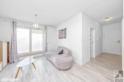 ul. Ziemowita, Szczepin, Stare Miasto, Wrocław, dolnośląskie