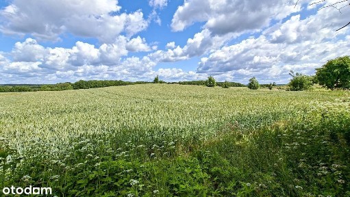 Dom i dwie duże działki w Udorpiu z malowniczym widokiem na pola i las