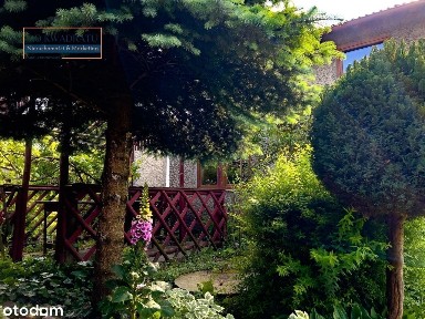 DOM 140 M² DO REMONTU - BRZEŹNO | OGRÓD ZE STARODRZEWIEM