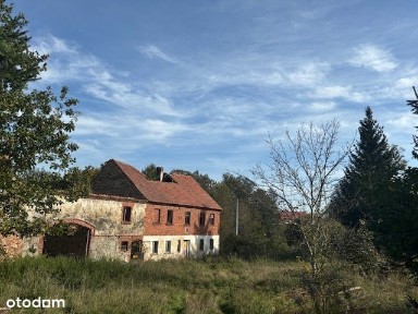 Sprzedam nieruchomość w Radostawiu Dolnym!