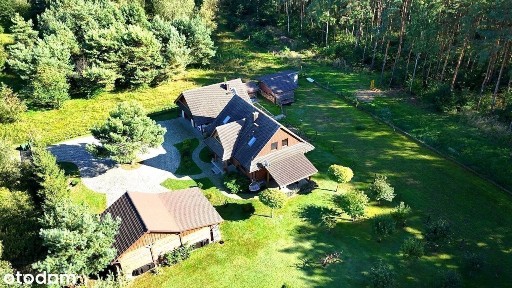 Dom z bali w sercu lasu / 2450m2 działki / Holendry, gm. Dobroszyce