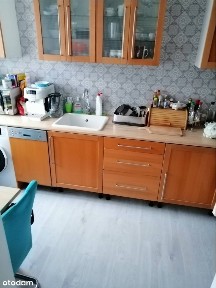 Dom Szereg, Sępolno, Wielka Wyspa, ogród