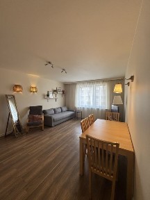 Przytulna kawalerka w kamienicy - Działki leśne