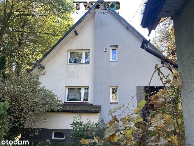 Dom z ogrodem w sosenkach