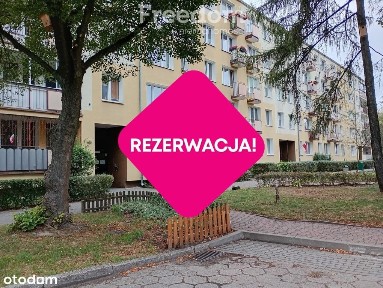 ul. Starego Doktora, Marysin Wawerski, Wawer, Warszawa, mazowieckie