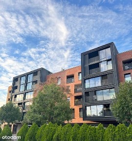 Apartament ul. Niedziałkowskiego