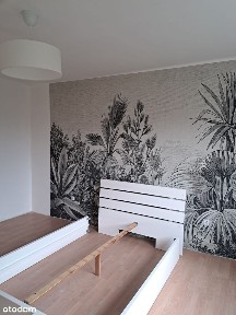 ul. Dąbrowska, Klimontów, Sosnowiec, śląskie