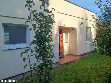 ul. Bukowa, Nowy Dębiec, Kościan, kościański, wielkopolskie