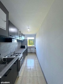 2 Pokoje prz lesie| 48,07 m2 | Balkon | Piwnica