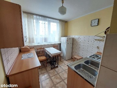 Baildona, Gliwice, śląskie