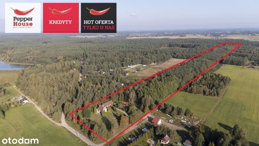 Piękna Działka Z Domem i Lasem W Sercu Kaszub!
