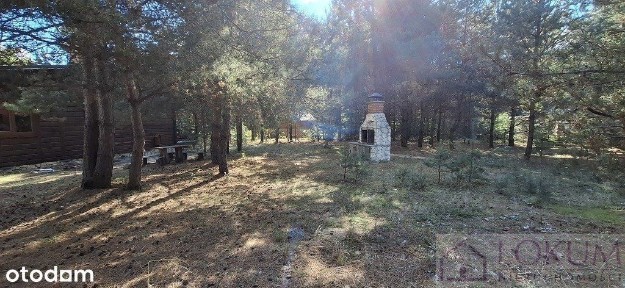 Zagłębocze, Lejno, dom drewniany, duża działka.
