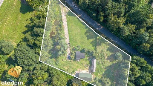 Dwa domy przy rzece i lesie