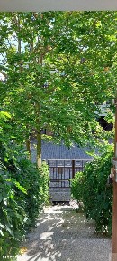 Wola, Jeżyce, Poznań, wielkopolskie