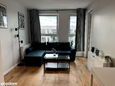 Kaptur, Radom, mazowieckie