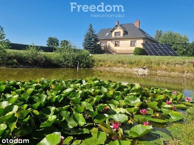 Duży zadbany dom z własnym lasem i stawem