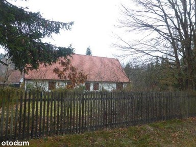 Budynek mieszkalny, na dużej działce LICYTACJA