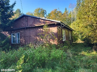 Dom, 80 m², Cegłów