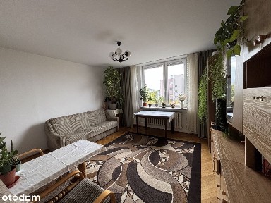 al. Aleja Wojska Polskiego, Stary Żoliborz, Żoliborz, Warszawa, mazowieckie