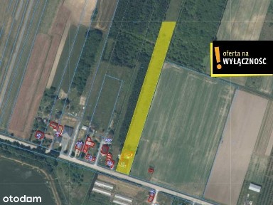 Dom po remoncie 3 km od Chmielnika z dużą działką