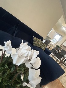 Mikołów, 2 pok, balkon, I piętro, BEZCZYNSZOWE, kompletnie wyposażone