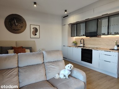 ul. Celna, Łasztownia, Śródmieście, Szczecin, zachodniopomorskie