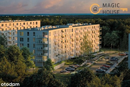 ul. Bieszczadzka, Wielki Kack, Gdynia, pomorskie