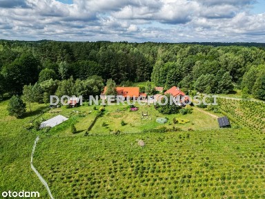 Dwa całoroczne domy w otulinie lasu!