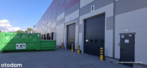4 moduły po 2000m lub 4000m HALA Wynajem bezpośrednio. 10 m wysoki